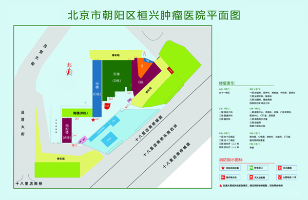 鸡巴好大好想被插视频北京市朝阳区桓兴肿瘤医院平面图